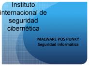 Malware pos punky seguridad informatica