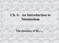 Ch. 6: An Introduction to Metabolism PowerPoint PPT Presentation