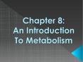 Chapter 8:           An Introduction To Metabolism PowerPoint PPT Presentation