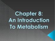 Chapter 8:           An Introduction To Metabolism