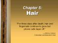 Chapter 5: Hair PowerPoint PPT Presentation