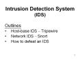 Intrusion Detection System (IDS) PowerPoint PPT Presentation