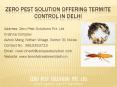 Termite control in Delhi @ 9810353723