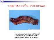 Presentaci