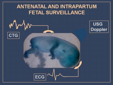 Prezentacja programu PowerPoint