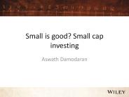 Small is good? Small cap investing