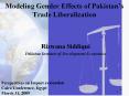 Modeling Gender Effects of Pakistan PowerPoint PPT Presentation