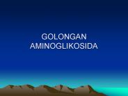 GOLONGAN AMINOGLIKOSIDA