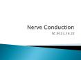 Nerve Conduction PowerPoint PPT Presentation