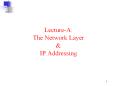 Lecture-A: The Network Layer PowerPoint PPT Presentation