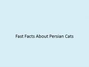 Fast Facts About Persian Cats