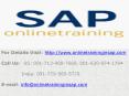 SAP FICO Online Training and Placement - Online Training in SAP PowerPoint PPT Presentation