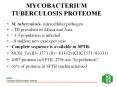 MYCOBACTERIUM%20TUBERCULOSIS%20PROTEOME PowerPoint PPT Presentation