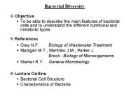 Bacterial Diversity
