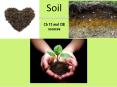 Soil PowerPoint PPT Presentation