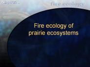 Fire ecology of prairie ecosystems