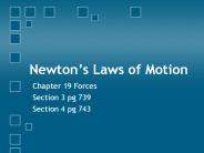 Newton