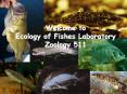 Welcome to Ecology of Fishes Laboratory Zoology 511 PowerPoint PPT Presentation