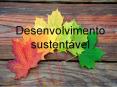 Desenvolvimento sustent PowerPoint PPT Presentation