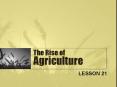 The Rise of Agriculture PowerPoint PPT Presentation