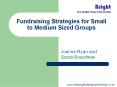 Fundraising Strategies for Small to Medium Sized Groups PowerPoint PPT Presentation