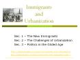 Immigrants%20and%20Urbanization PowerPoint PPT Presentation