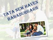 Tata New Haven Bahadurgarh