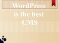 Wordpress is the best CMS PowerPoint PPT Presentation