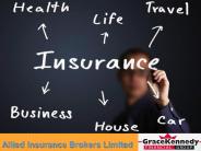 Allied Insurance Brokers Limited