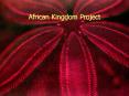 African%20Kingdom%20Project PowerPoint PPT Presentation
