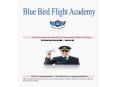 Pilot Training Institute,pilot Training,Commercial Pilot Training & Commercial Pilot License - Blue Bird Flight Academy PowerPoint PPT Presentation