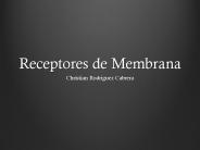 Receptores de Membrana