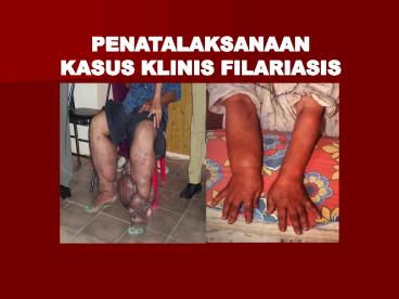 Regional%20Update%20on%20ELF%20SEA%20RPRG%20Meeting%20%2027%20