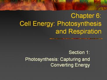Chapter 6: Cell Energy: Photosynthesis and Respiration