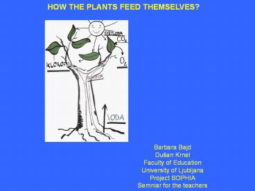 HOW THE PLANTS FEED THEMSELVES?