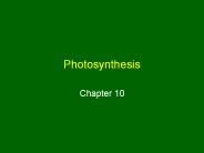 Photosynthesis
