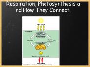 Respiration,