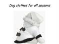 Dog clothes for all seasons PowerPoint PPT Presentation