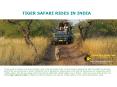 Tiger safaris in India- TadobaTigerKingResort PowerPoint PPT Presentation