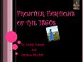 Frontier Fashions of the 1860s PowerPoint PPT Presentation
