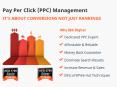 PPC Service Dubai PowerPoint PPT Presentation