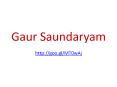 Gaur Saundaryam Residential Apartments Noida Extension
