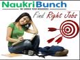Naukribunch.com - Find Jobs Online Chandigarh, Mohali, Panchkula PowerPoint PPT Presentation