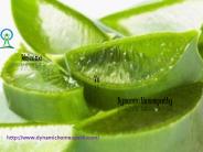 Affordable Homeopathic Treatment and Services In New Jersey