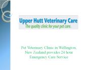 Animal Veterinary  Clinic Wellington