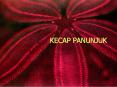 KECAP PANUNJUK PowerPoint PPT Presentation
