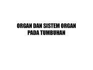 ORGAN DAN SISTEM ORGAN  PADA TUMBUHAN