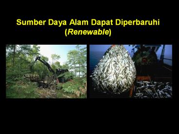 Sumber Daya Alam Dapat Diperbaruhi (Renewable)