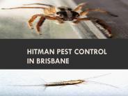 Hitman Pest Control In Brisbane