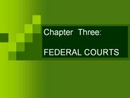 Chapter Three: FEDERAL COURTS